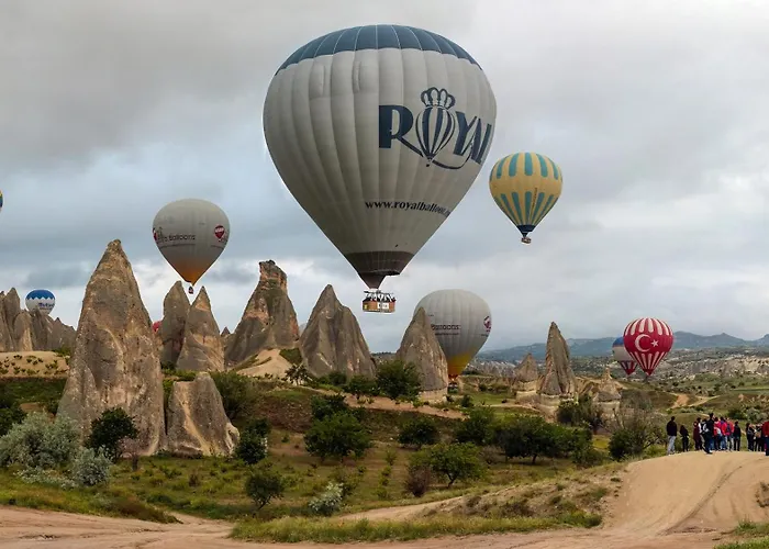 Hotel Sun Rise View 3*